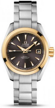 Omega Seamaster Aqua Terra Automatic Watch 158590M Omega Seamaster Aqua Terra Automatic Watch 158590M