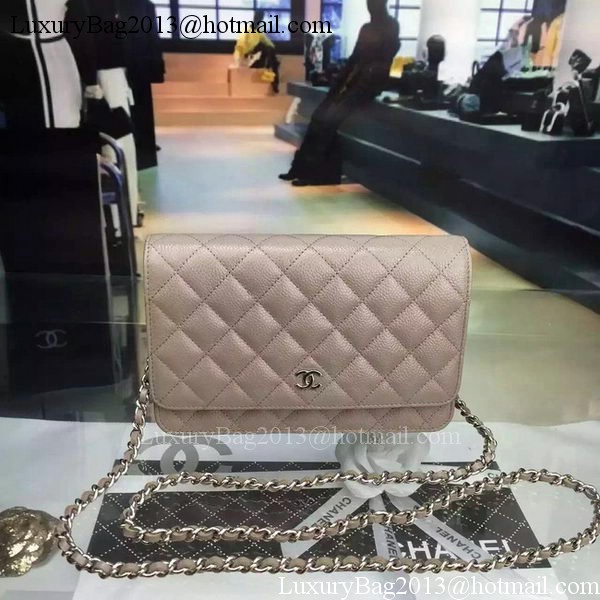 Chanel mini Flap Bag Cannage Pattern A8373 Grey Chanel mini Flap Bag Cannage Pattern A8373 Grey