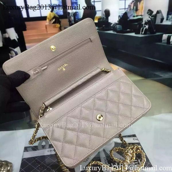 Chanel mini Flap Bag Cannage Pattern A8373 Grey Chanel mini Flap Bag Cannage Pattern A8373 Grey