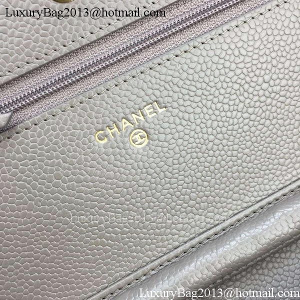 Chanel mini Flap Bag Cannage Pattern A8373 Grey Chanel mini Flap Bag Cannage Pattern A8373 Grey