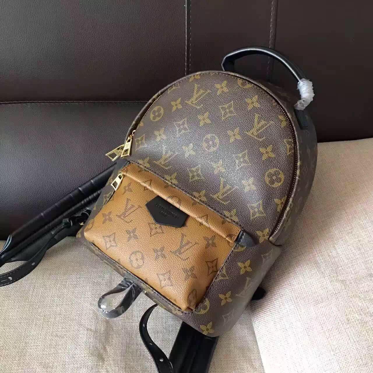 Louis Vuitton Monogram Canvas Palm Springs Backpack Mini M41562 Louis Vuitton Monogram Canvas Palm Springs Backpack Mini M41562