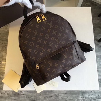 Louis Vuitton Monogram Canvas PALM SPRINGS BACKPACK MM M41561 Louis Vuitton Monogram Canvas PALM SPRINGS BACKPACK MM M41561