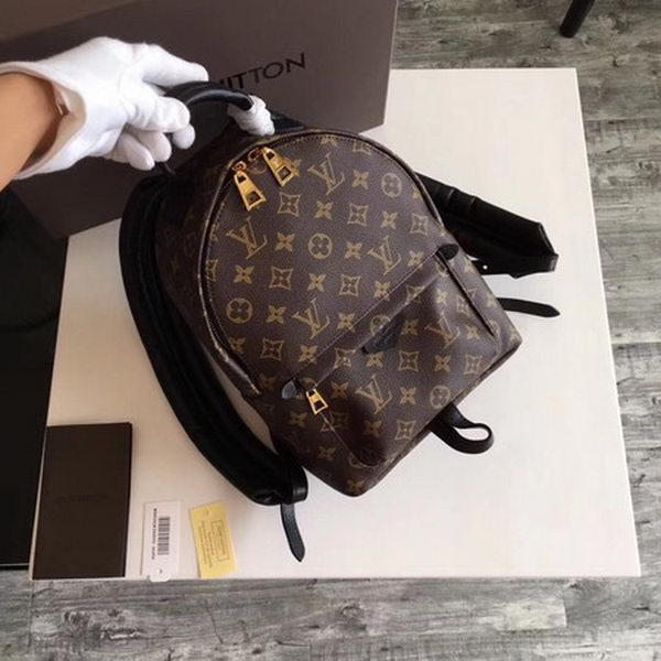 Louis Vuitton Monogram Canvas PALM SPRINGS BACKPACK PM M41560 Louis Vuitton Monogram Canvas PALM SPRINGS BACKPACK PM M41560