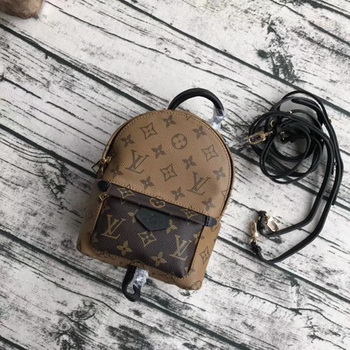 Louis Vuitton Monogram Canvas PALM SPRINGS BACKPACK MINI M42411 Louis Vuitton Monogram Canvas PALM SPRINGS BACKPACK MINI M42411