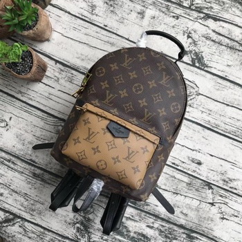 Louis Vuitton Monogram Canvas PALM SPRINGS BACKPACK MM M43116 Louis Vuitton Monogram Canvas PALM SPRINGS BACKPACK MM M43116