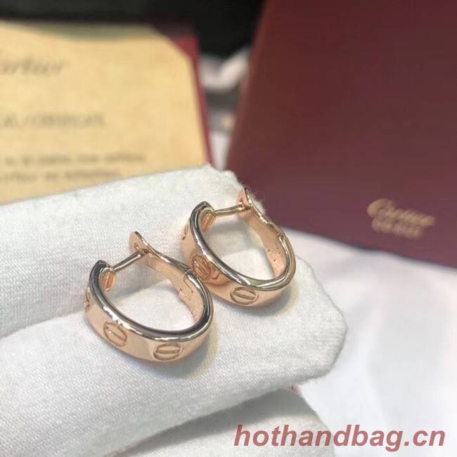 Cartier Earrings CE4147