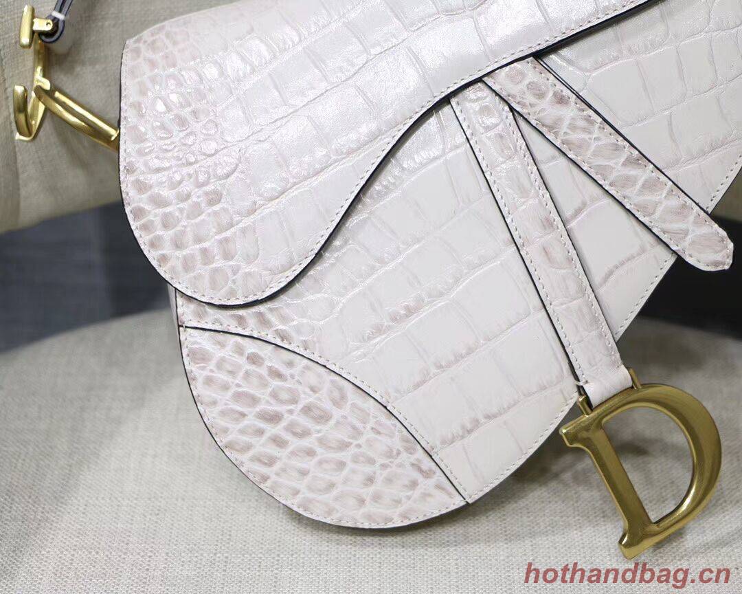 Dior SADDLE SOFT CALFSKIN BAG C9045 white Dior SADDLE SOFT CALFSKIN BAG C9045 white