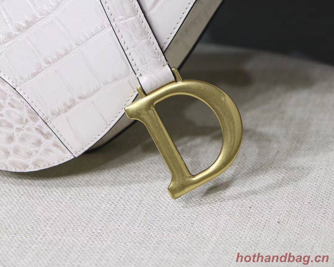 Dior SADDLE SOFT CALFSKIN BAG C9045 white Dior SADDLE SOFT CALFSKIN BAG C9045 white