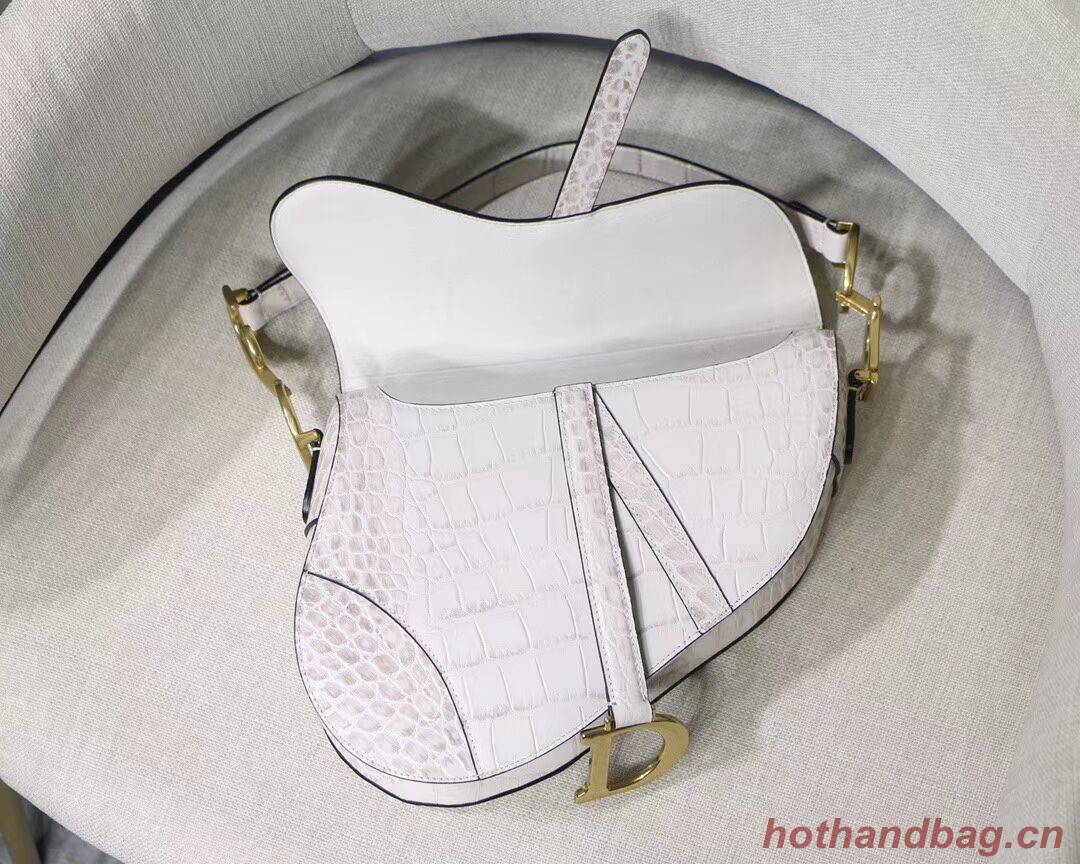 Dior SADDLE SOFT CALFSKIN BAG C9045 white Dior SADDLE SOFT CALFSKIN BAG C9045 white