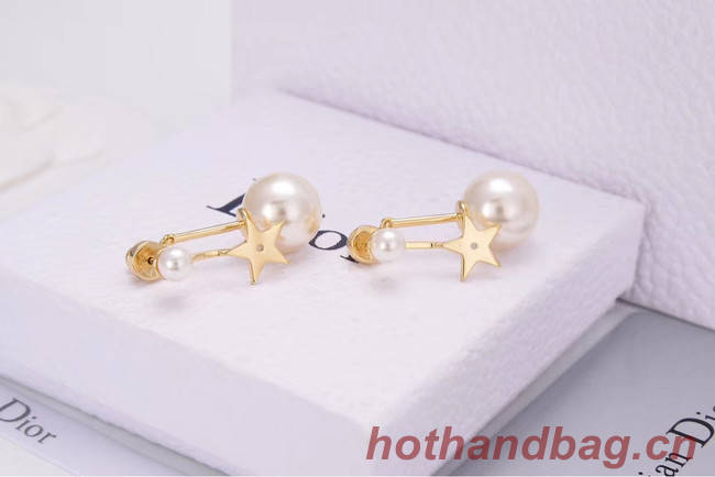 Dior Earrings CE4788