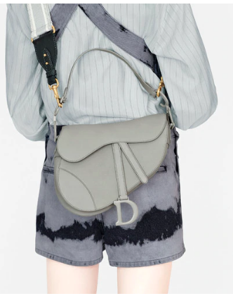 DIOR GRAY STONE SADDLE MATTE CALFSKIN BAG M0446I DIOR GRAY STONE SADDLE MATTE CALFSKIN BAG M0446I