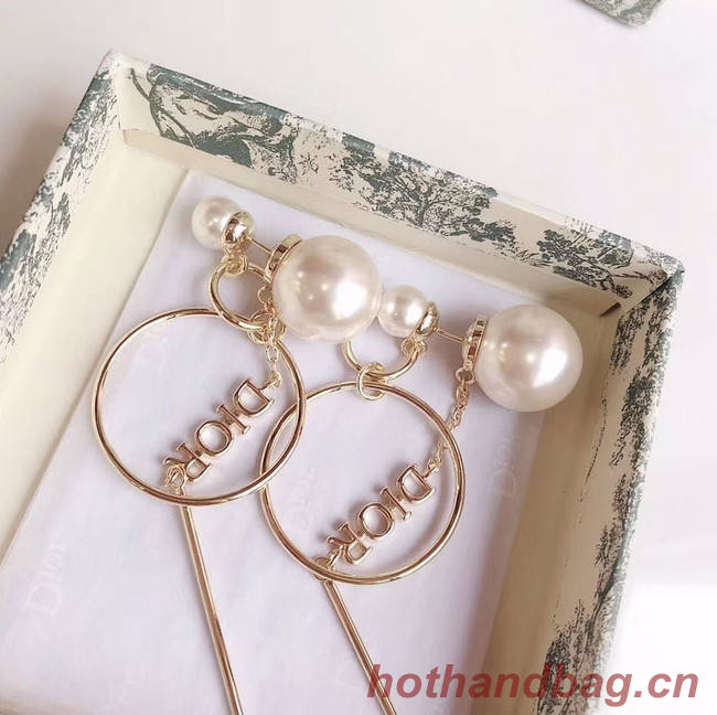 Dior Earrings CE5027