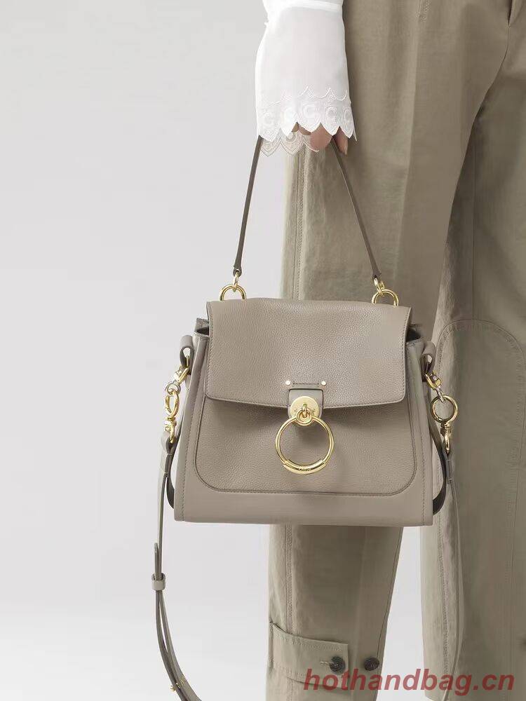 Chloe Original Calfskin Leather Bag C1142L grey Chloe Original Calfskin Leather Bag C1142L grey