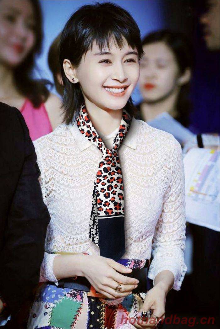 Dior Scarf CD00105 Dior Scarf CD00105