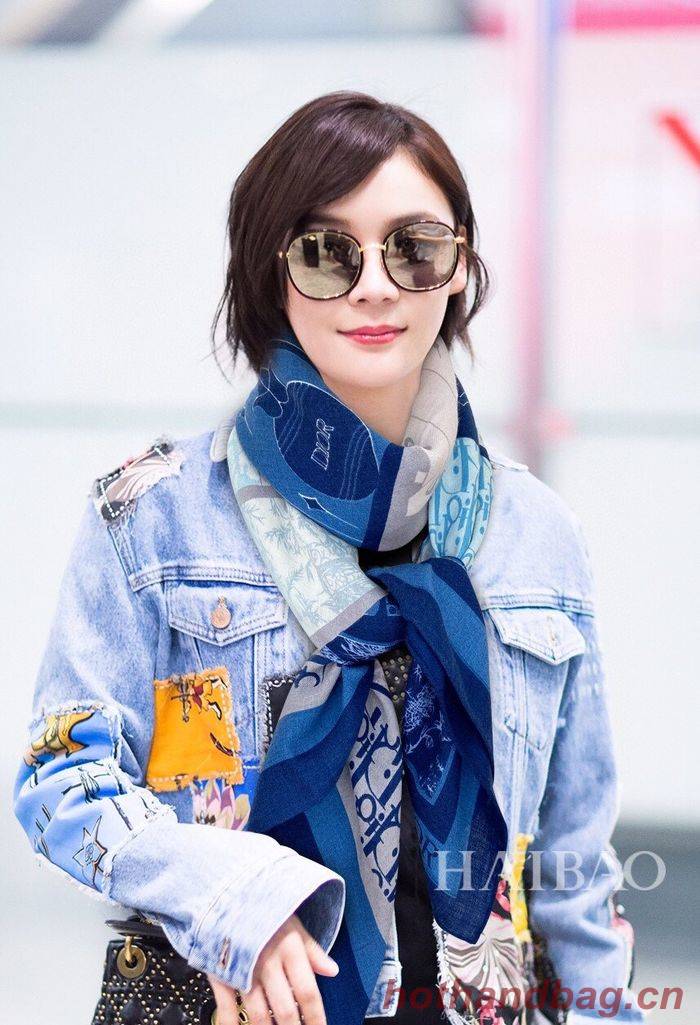 Dior Scarf CD00125 Dior Scarf CD00125