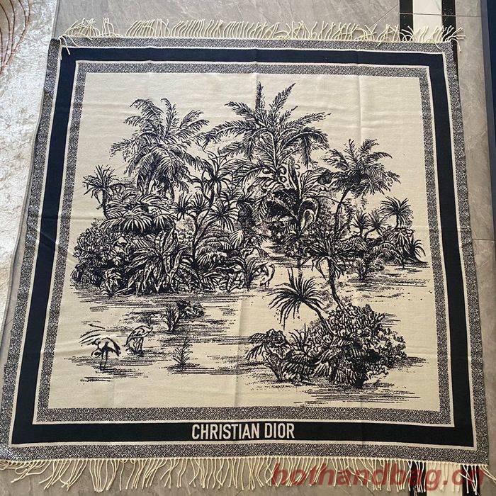 Dior Scarf CD00146 Dior Scarf CD00146