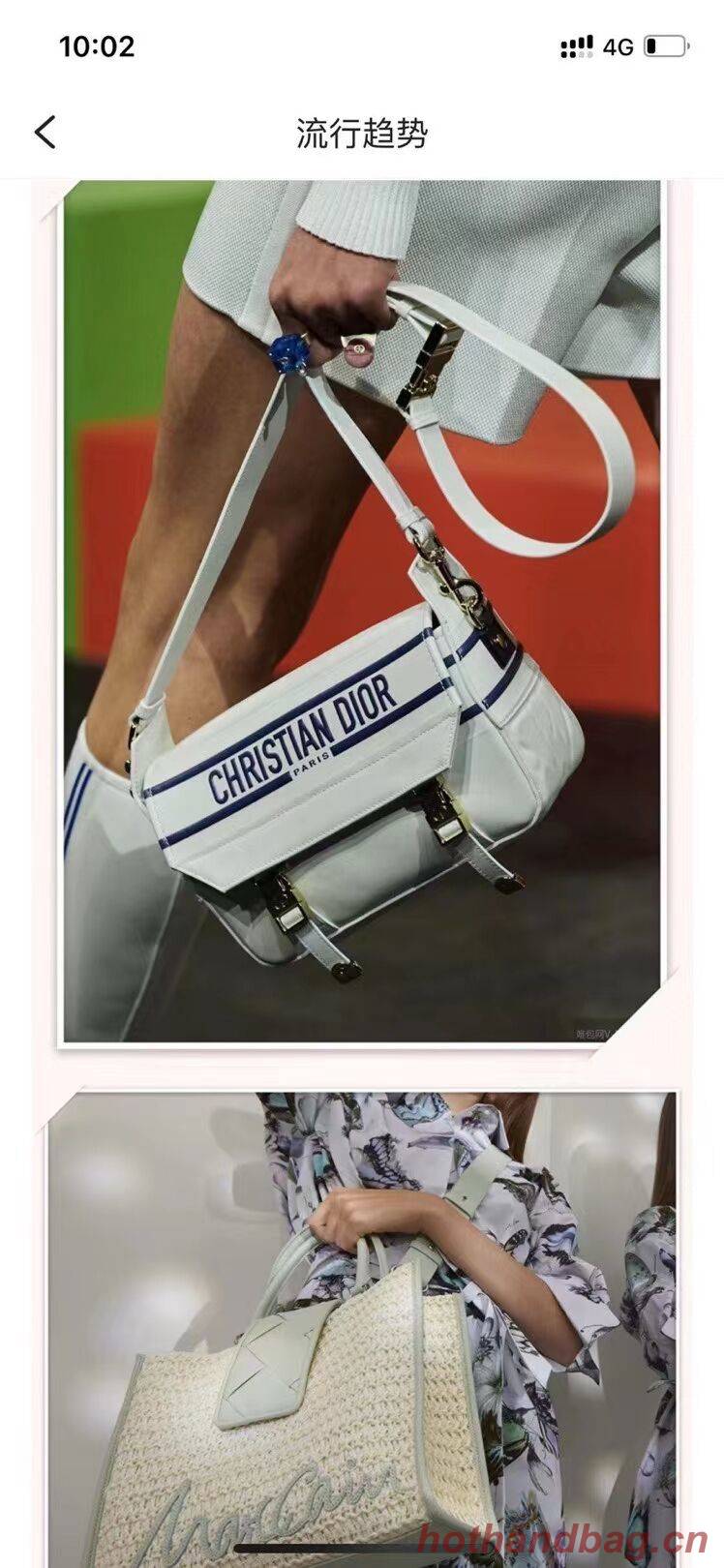 DIORCAMP BAG Dior Multicolor Tie & Dior Calfskin M1291 cream DIORCAMP BAG Dior Multicolor Tie & Dior Calfskin M1291 cream