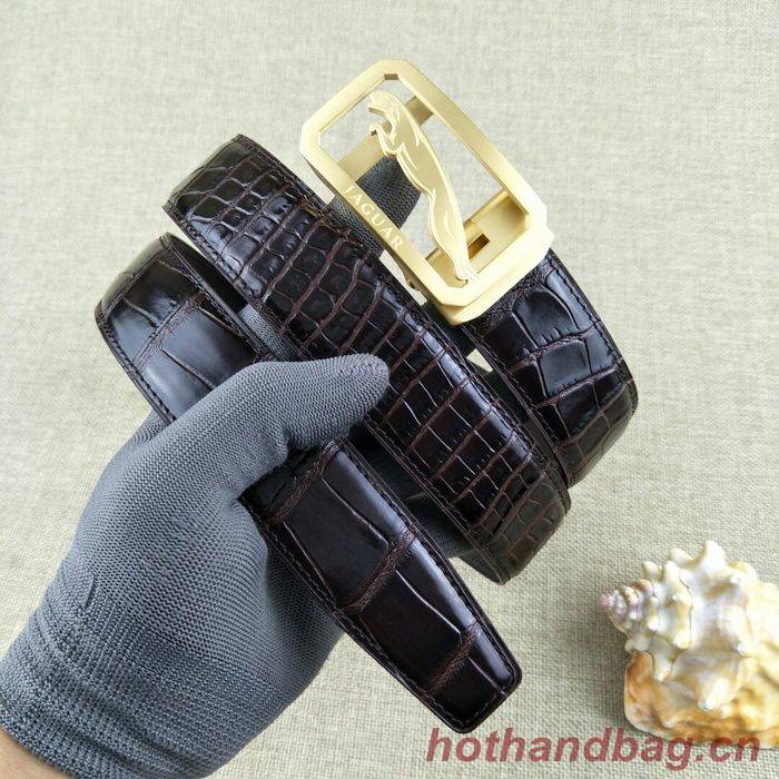 Jaguar Belt 34MM JAB00002-1 Jaguar Belt 34MM JAB00002-1