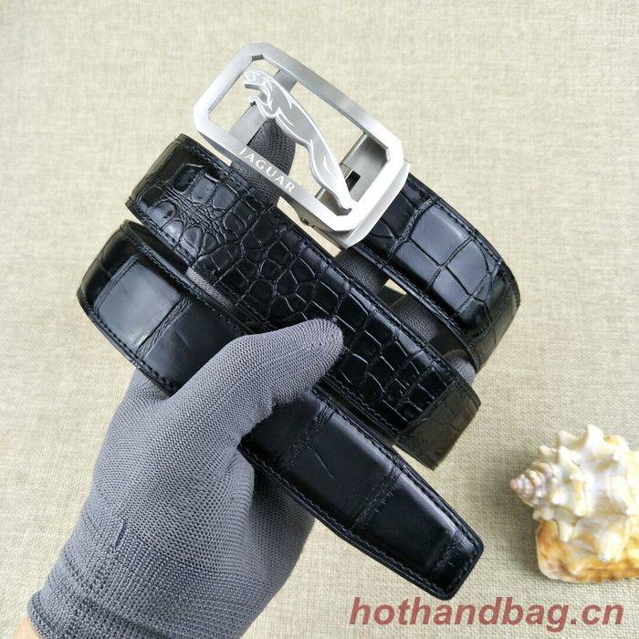 Jaguar Belt 34MM JAB00002-2 Jaguar Belt 34MM JAB00002-2