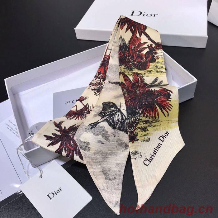 Dior Scarf DIS00001 Dior Scarf DIS00001