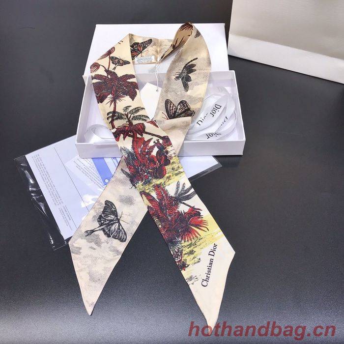Dior Scarf DIS00001 Dior Scarf DIS00001