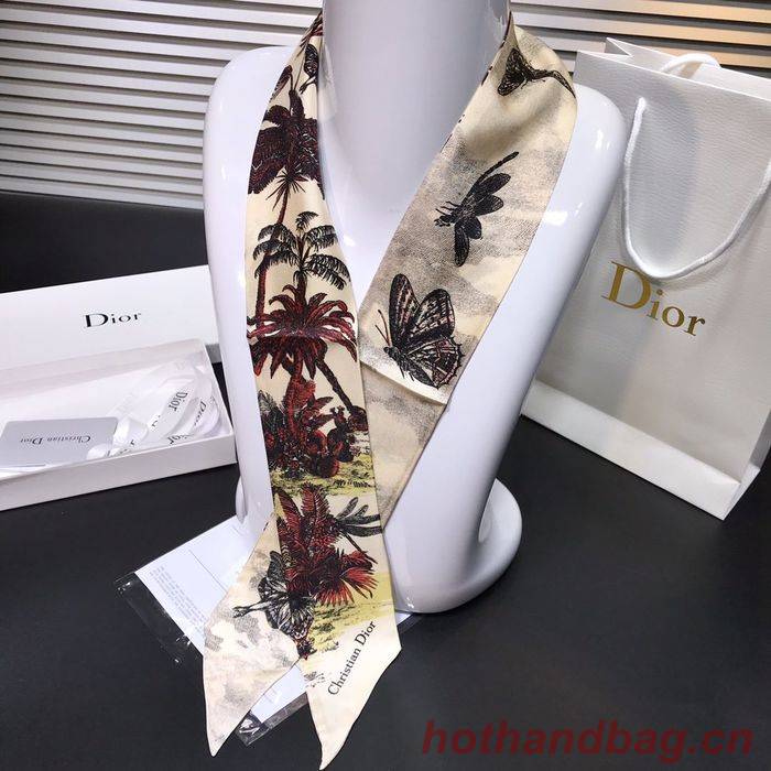 Dior Scarf DIS00001 Dior Scarf DIS00001