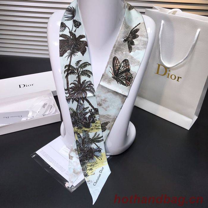 Dior Scarf DIS00002 Dior Scarf DIS00002