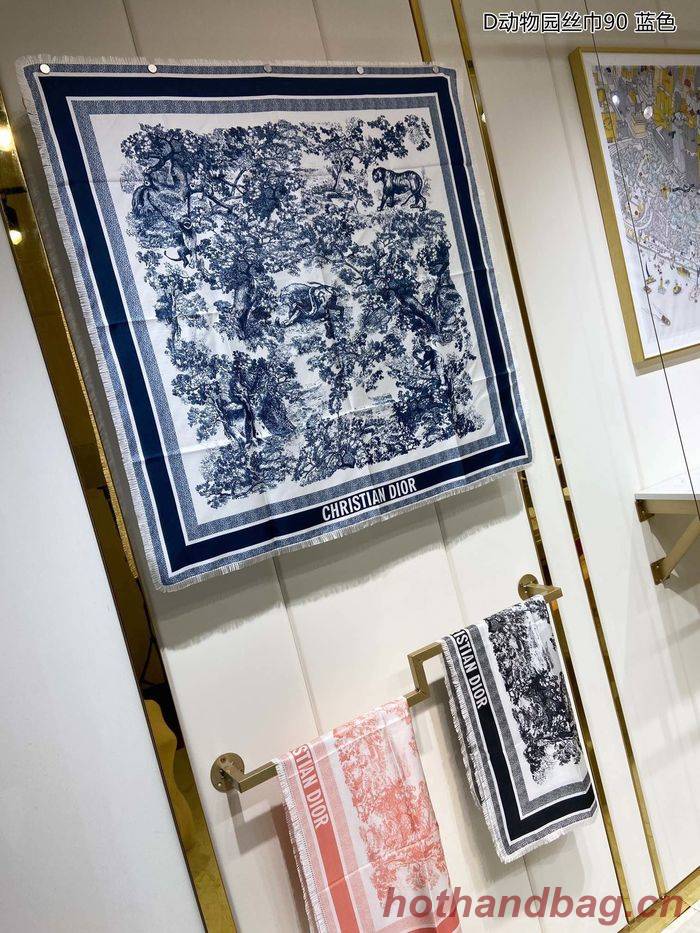 Dior Scarf DIS00024 Dior Scarf DIS00024