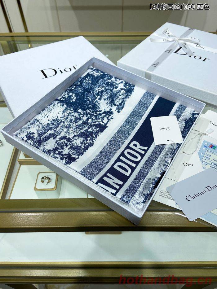 Dior Scarf DIS00024 Dior Scarf DIS00024