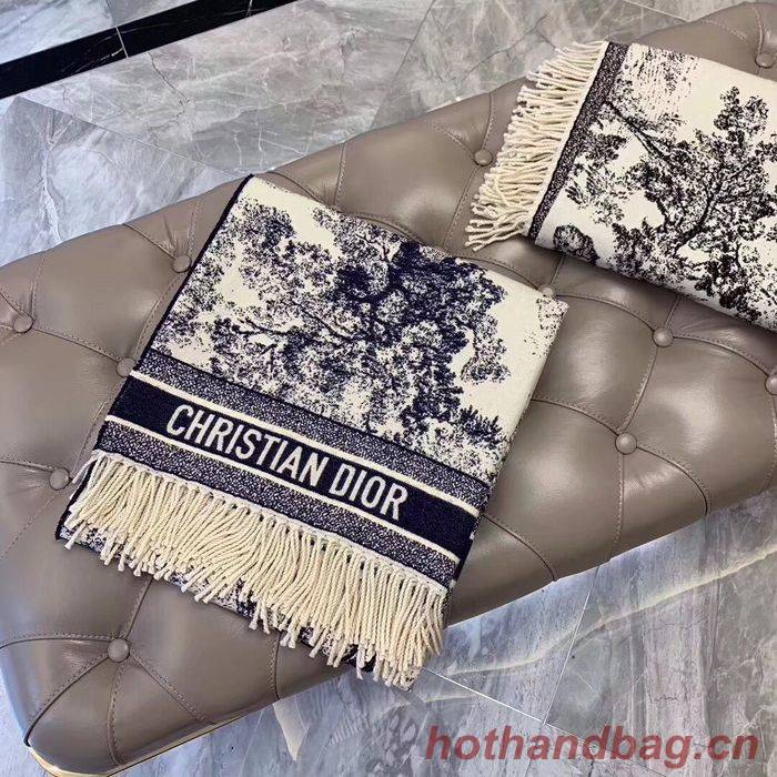 Dior Scarf DIS00067 Dior Scarf DIS00067