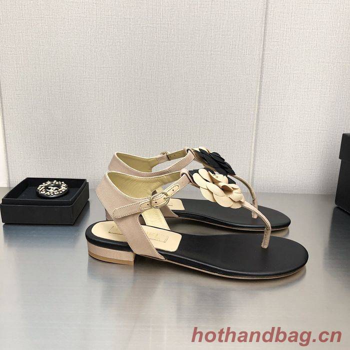 Chanel Shoes CHS00538 Heel 2.5CM Chanel Shoes CHS00538 Heel 2.5CM