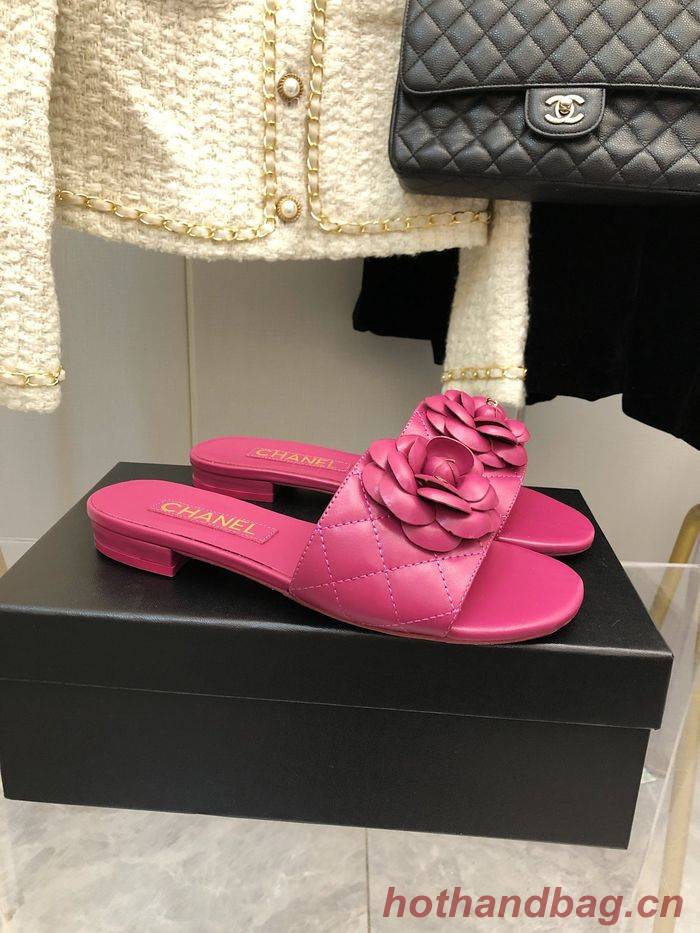 Chanel Shoes CHS00544 Heel 2.5CM Chanel Shoes CHS00544 Heel 2.5CM