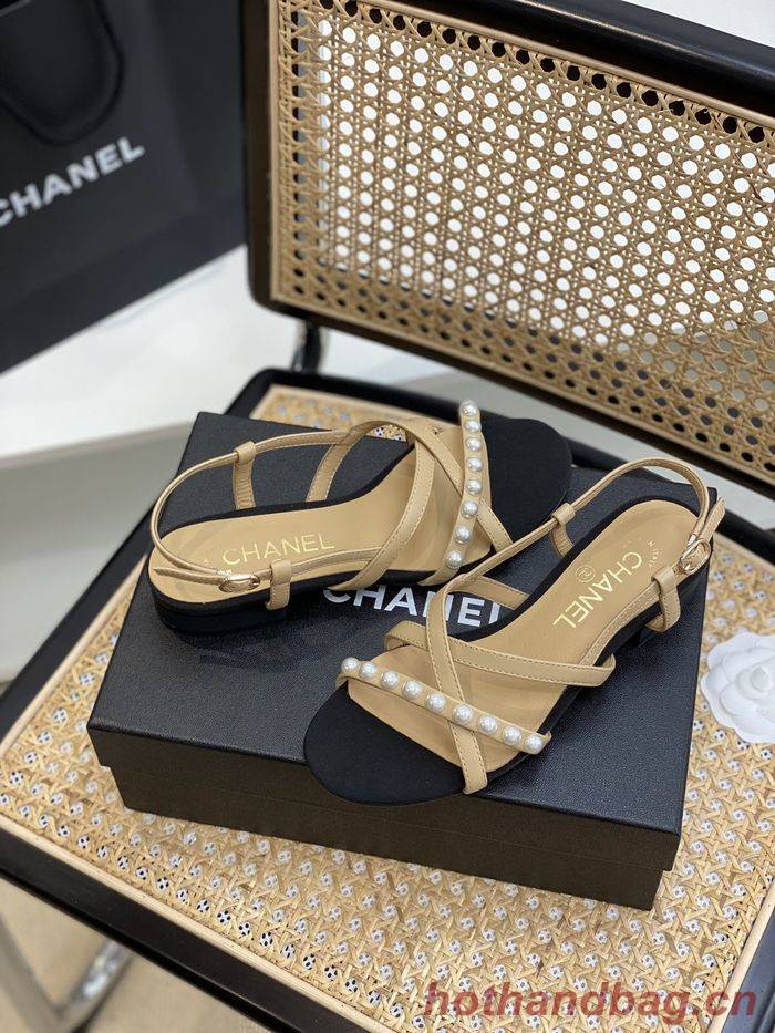 Chanel Shoes CHS00667 Chanel Shoes CHS00667