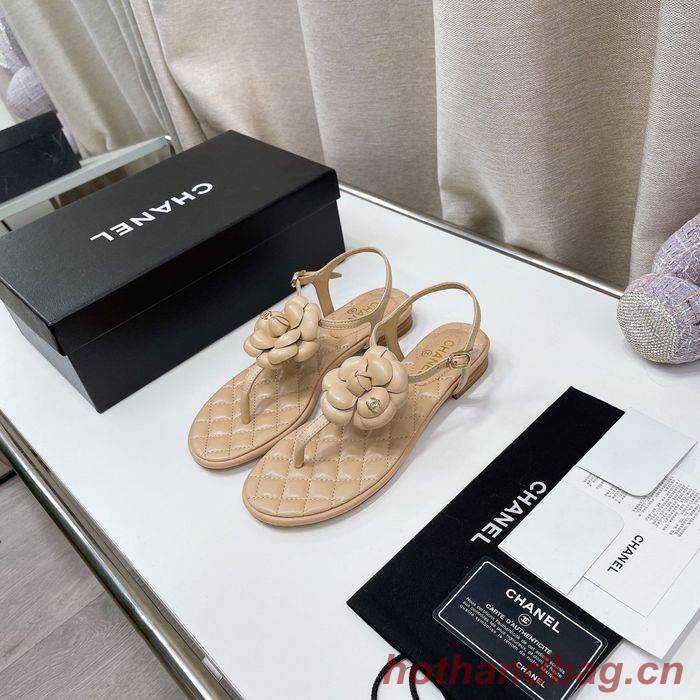 Chanel Shoes CHS00727 Chanel Shoes CHS00727