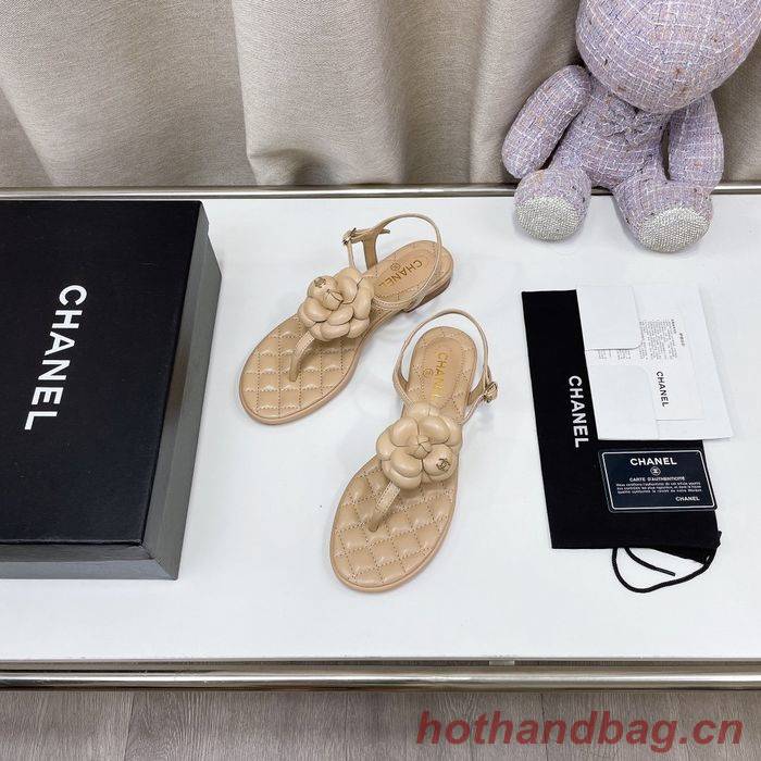 Chanel Shoes CHS00727 Chanel Shoes CHS00727