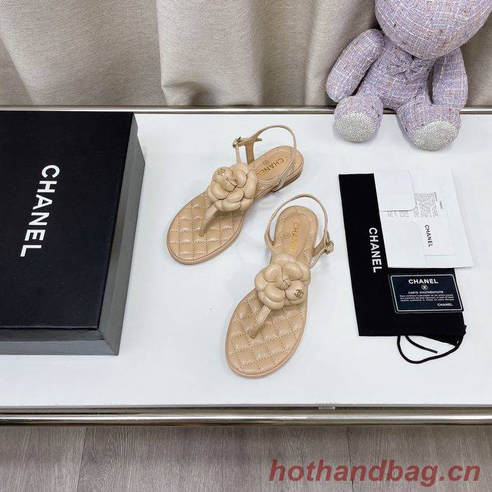 Chanel Shoes CHS00727 Chanel Shoes CHS00727