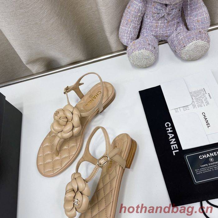 Chanel Shoes CHS00727 Chanel Shoes CHS00727