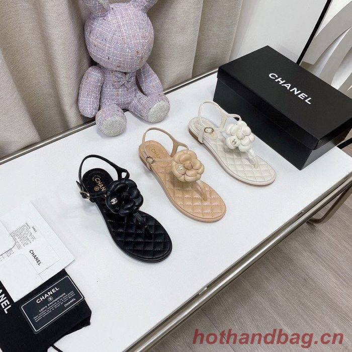 Chanel Shoes CHS00727 Chanel Shoes CHS00727