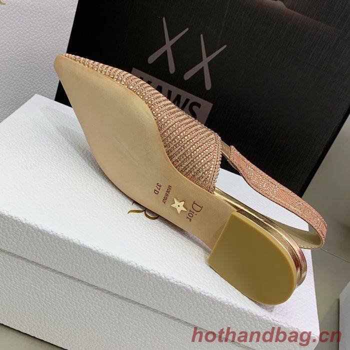 Dior Shoes DIS00007 Dior Shoes DIS00007