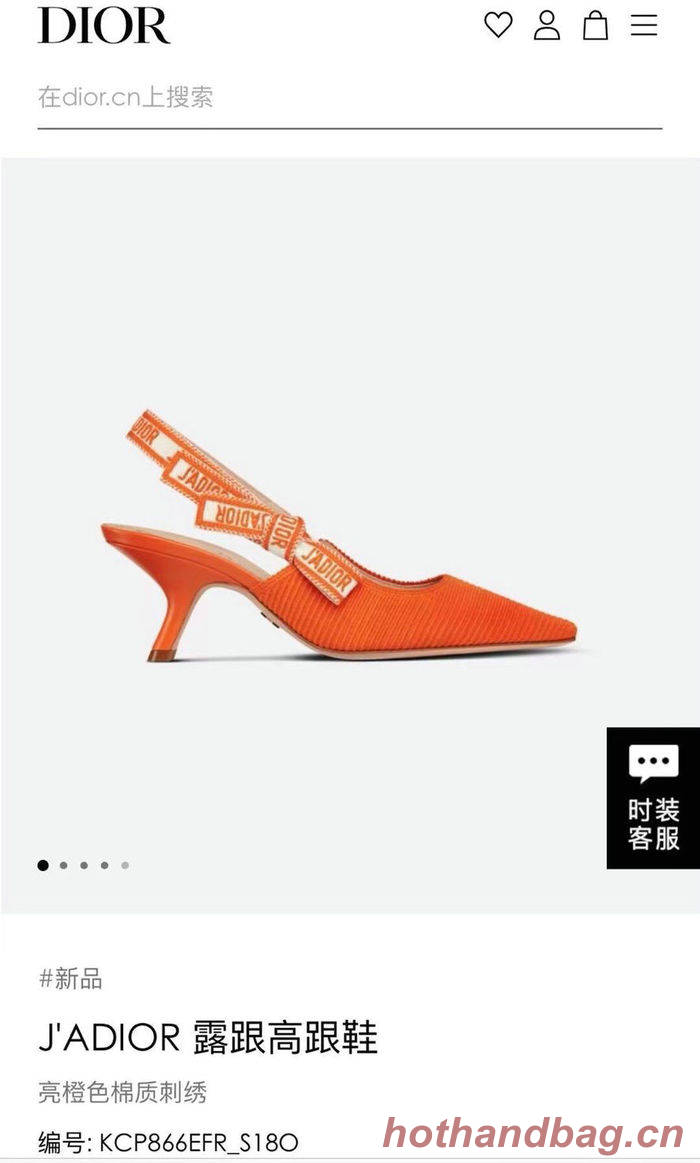 Dior Shoes DIS00032 Heel 6.5CM Dior Shoes DIS00032 Heel 6.5CM