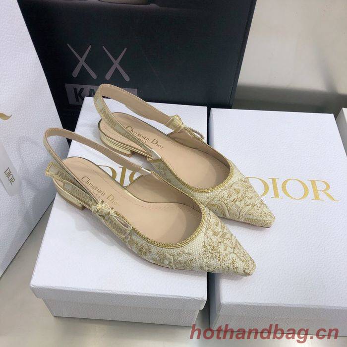 Dior Shoes DIS00052 Dior Shoes DIS00052