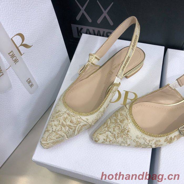 Dior Shoes DIS00052 Dior Shoes DIS00052