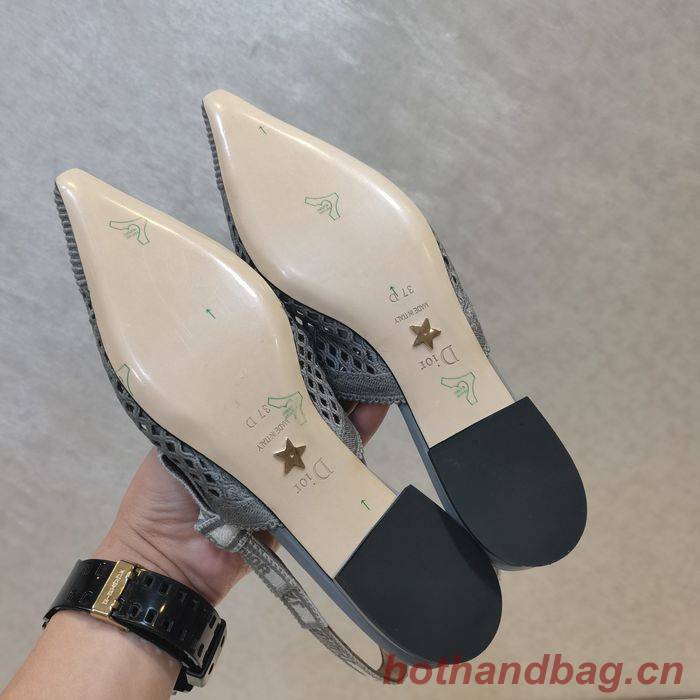 Dior Shoes DIS00062 Dior Shoes DIS00062