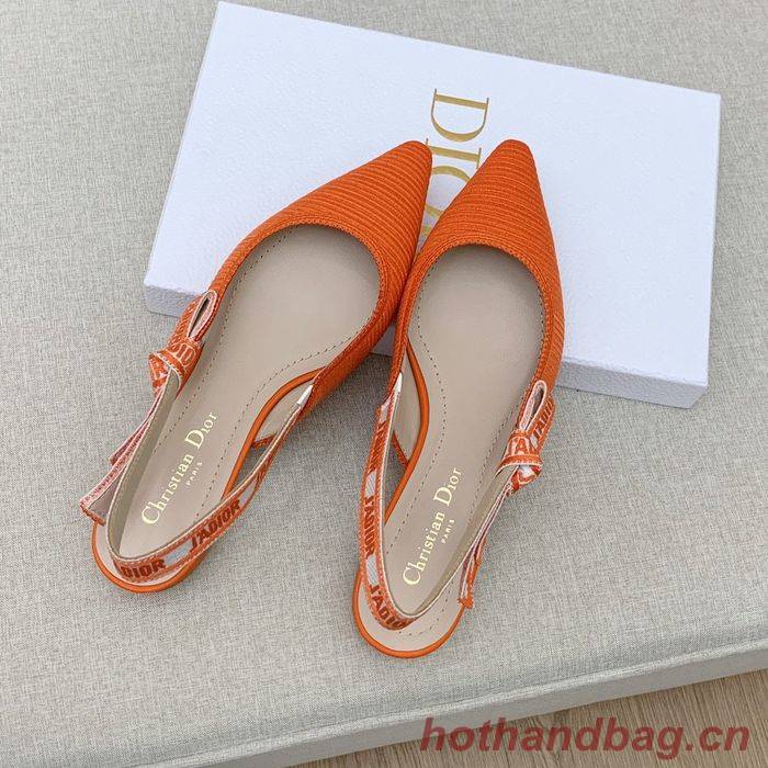 Dior Shoes DIS00064 Dior Shoes DIS00064