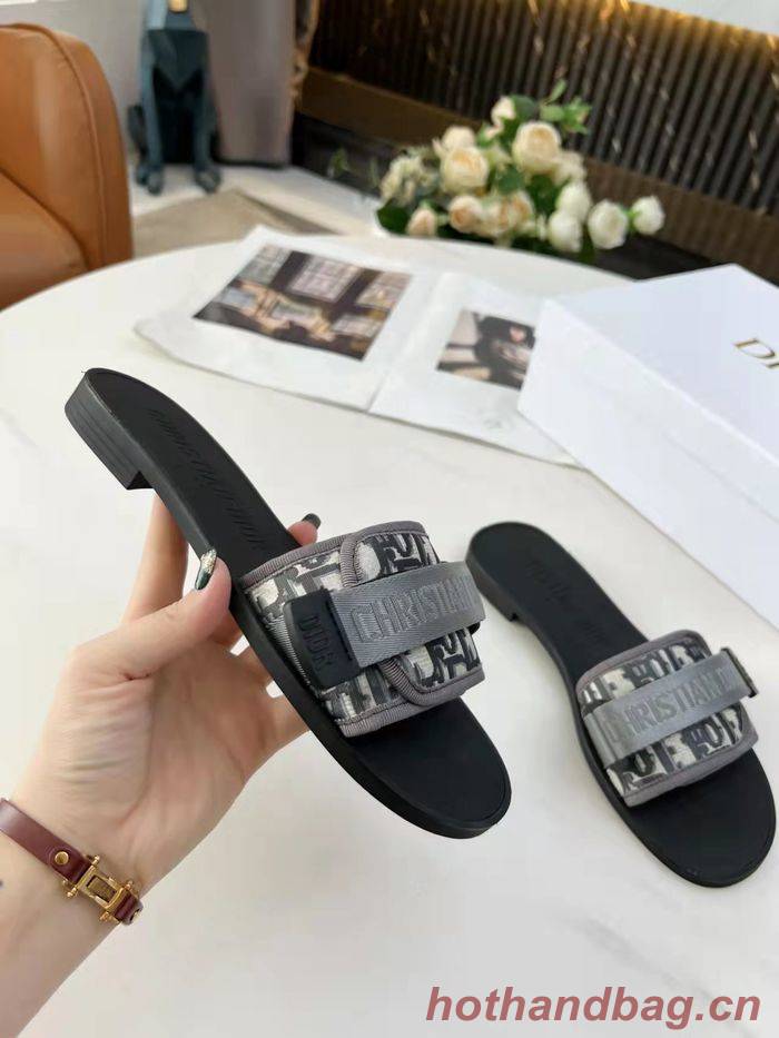 Dior Shoes DIS00147 Dior Shoes DIS00147