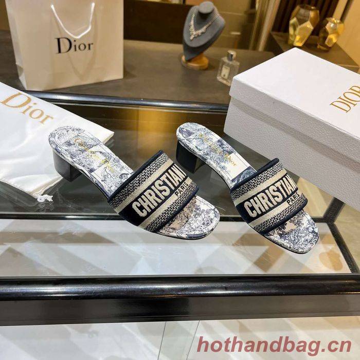 Dior Shoes DIS00166 Dior Shoes DIS00166