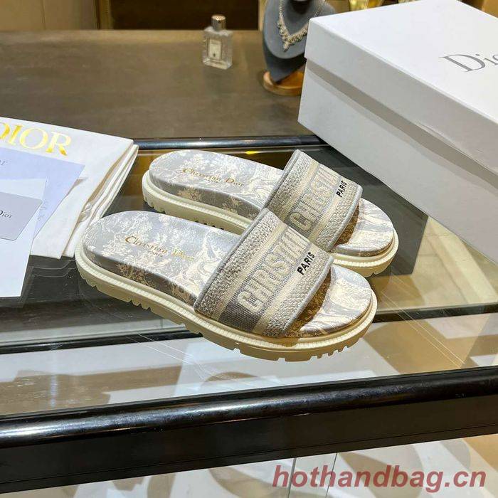 Dior Shoes DIS00174 Dior Shoes DIS00174