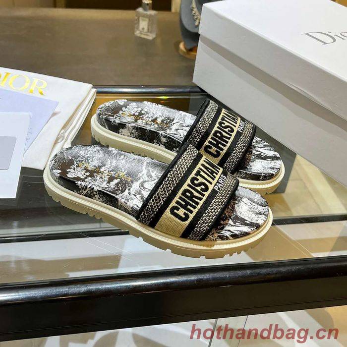 Dior Shoes DIS00175 Dior Shoes DIS00175