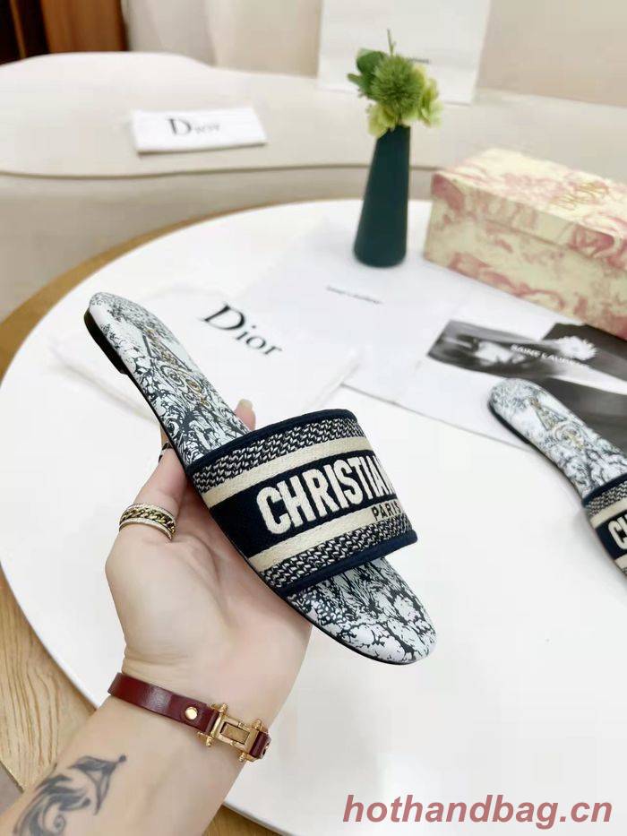 Dior Shoes DIS00182 Dior Shoes DIS00182