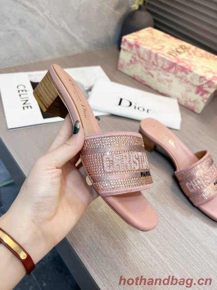 Dior Shoes DIS00196 Dior Shoes DIS00196